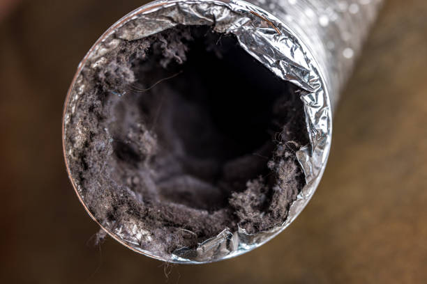 Best Professional Duct Cleaning Services  in Algonac, MI