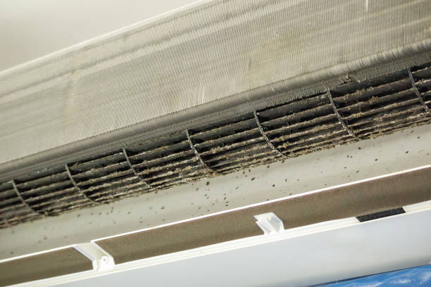 Professional Airduct Cleaning in Algonac, MI